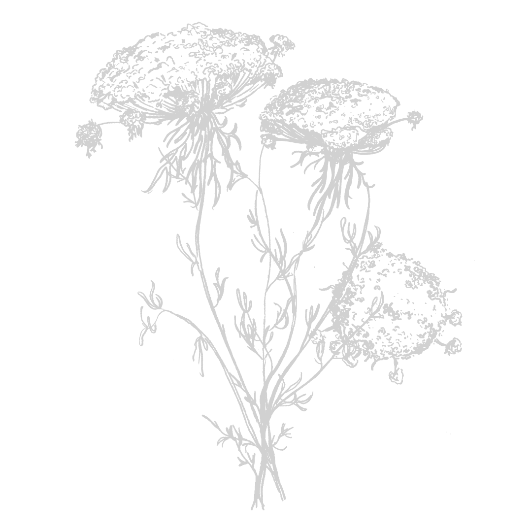 La Crosse Fall Family Photos Brittany Eitsert Photography Wisconsin Fine Art Wedding And Portrait Photographer